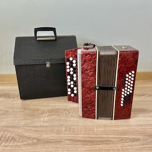 Rare Working Childrens bayan, 40 bass, 2/4 Malish accordion, Accordion, Russian accordion, Childrens bayan, Button accordion, Case, VIDEO