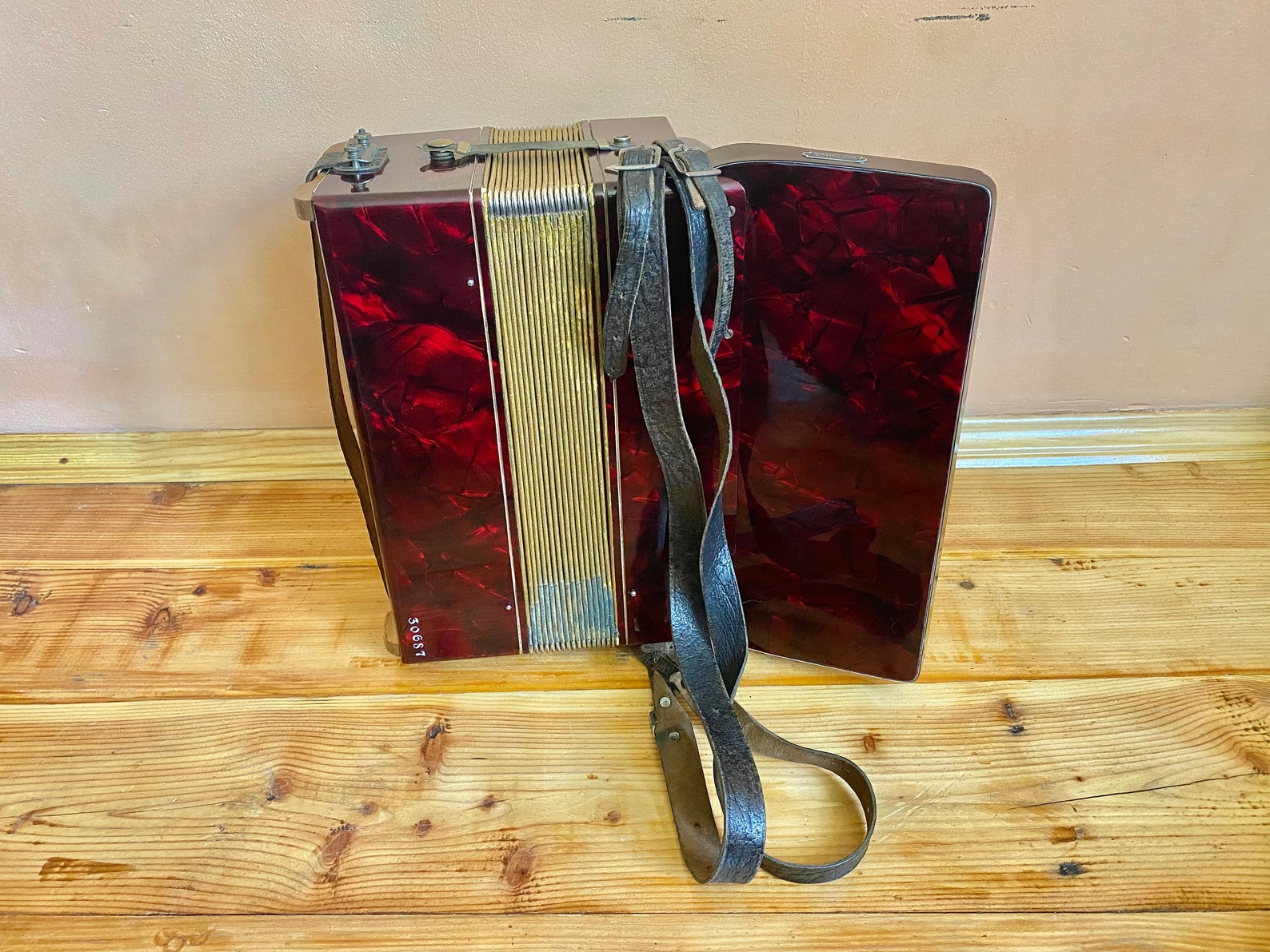 Rare Working Piano Accordion for Beginners Royal Standard Etsy