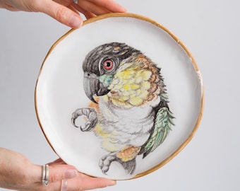 Hand Painted Parrot Plate, Ceramic Bird Wall Decor, Exotic Bird Art Plate, Nature Inspired Home Decor, Unique Gift, Bird Lover Gift
