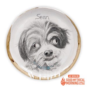 Pug dog ceramic plate, Pet portrait plate, Custom 8 in plate Pet lover gift Animal pet dish Decorative Plate, Dog memory gift