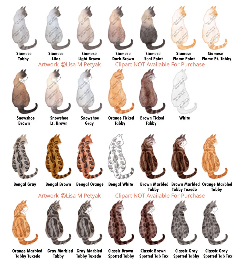 Puede incluir: Un gr&aacute;fico con diferentes razas de gatos con sus nombres y descripciones. El gr&aacute;fico presenta ilustraciones de acuarela de gatos en varias poses. El texto incluye "Artwork &copy; Lisa M Petyak" y "Clipart NOT Available For Purchase".