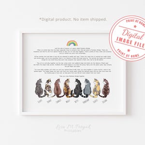 Digitaal bestand, 5-8 Cats with Rainbow Bridge-gedicht, gepersonaliseerd, Cat Loss Memorial Print, Cat Sympathy Gift, DIGITALE DOWNLOAD