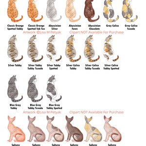 Op de afbeelding: Een digitale illustratie van 12 verschillende kattenrassen, elk met een uniek kleurpatroon en markeringen. De rassen omvatten klassieke oranje gevlekte tabby, zilver tabby, blauwgrijze tabby, sphynx, en meer. De afbeelding bevat de tekst "Artwork &copy;Lisa M Petyak" en "Clipart NOT Available For Purchase".