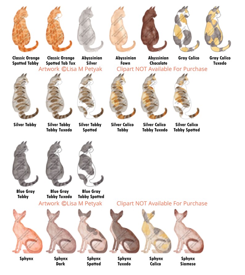 Op de afbeelding: Een digitale illustratie van 12 verschillende kattenrassen, elk met een uniek kleurpatroon en markeringen. De rassen omvatten klassieke oranje gevlekte tabby, zilver tabby, blauwgrijze tabby, sphynx, en meer. De afbeelding bevat de tekst "Artwork &copy;Lisa M Petyak" en "Clipart NOT Available For Purchase".