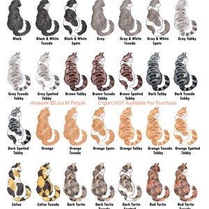 May include: A chart of 16 different cat breeds, illustrated in watercolor style. Each cat is depicted in a sitting position, with a label underneath indicating its breed. The breeds include Black, Black & White Tuxedo, Black & White Spots, Gray, Gray & White Tuxedo, Gray & White Spots, Gray Tabby, Gray Tuxedo Tabby, Gray Spotted Tabby, Brown Tabby, Brown Tuxedo Tabby, Brown Spotted Tabby, Dark Tabby, Dark Tuxedo Tabby, Dark Spotted Tabby, Orange, Orange Tuxedo, Orange Spots, Orange Tabby, Orange Tuxedo Tabby, Orange Spotted Tabby, Calico, Calico Tuxedo, Dark Tortie, Dark Tortie Tuxedo, Dark Tortie Spotted, Red Tortie, and Red Tortie Tuxedo.