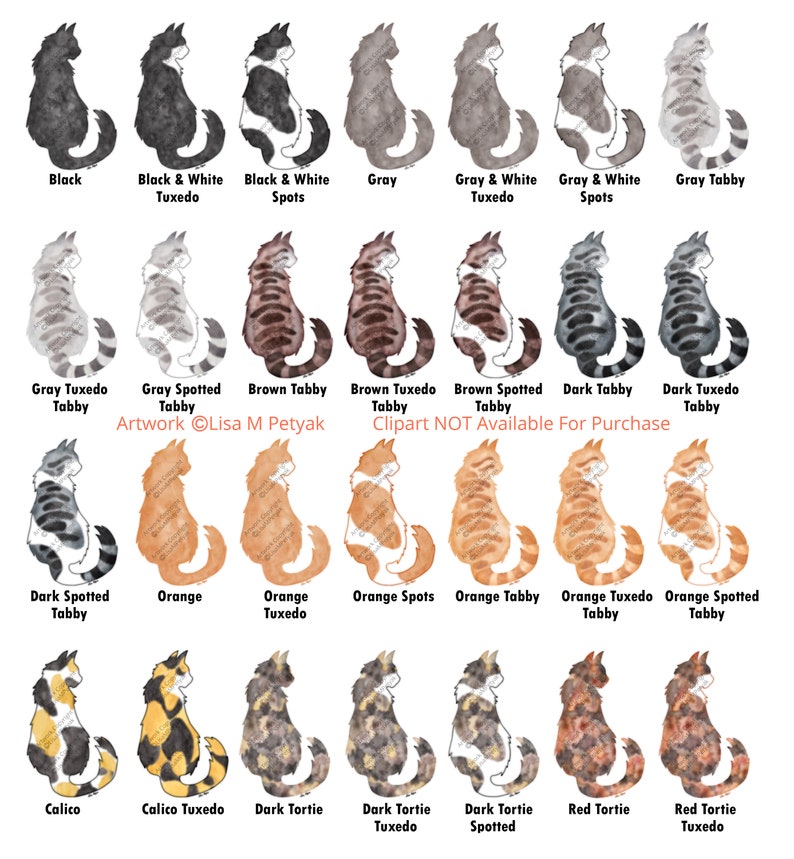 May include: A chart of 16 different cat breeds, illustrated in watercolor style. Each cat is depicted in a sitting position, with a label underneath indicating its breed. The breeds include Black, Black & White Tuxedo, Black & White Spots, Gray, Gray & White Tuxedo, Gray & White Spots, Gray Tabby, Gray Tuxedo Tabby, Gray Spotted Tabby, Brown Tabby, Brown Tuxedo Tabby, Brown Spotted Tabby, Dark Tabby, Dark Tuxedo Tabby, Dark Spotted Tabby, Orange, Orange Tuxedo, Orange Spots, Orange Tabby, Orange Tuxedo Tabby, Orange Spotted Tabby, Calico, Calico Tuxedo, Dark Tortie, Dark Tortie Tuxedo, Dark Tortie Spotted, Red Tortie, and Red Tortie Tuxedo.