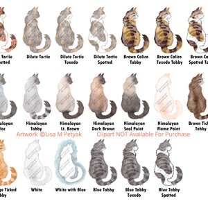May include: A digital illustration of 15 different cat breeds, each depicted in a watercolor style. The cats are all sitting in a profile view, with their tails curled around their bodies. The breeds include: Red Tortie Spotted, Dilute Tortie, Dilute Tortie Tuxedo, Dilute Tortie Spotted, Brown Calico Tabby, Brown Calico Tuxedo Tabby, Brown Calico Spotted Tabby, Himalayan Lilac, Himalayan Tabby, Himalayan Lt. Brown, Himalayan Dark Brown, Himalayan Seal Point, Himalayan Flame Point, Brown Ticked Tabby, Orange Ticked Tabby, White, White with Blue, Blue Tabby, Blue Tabby Tuxedo, and Blue Tabby Spotted.