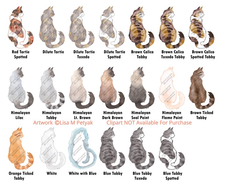 May include: A digital illustration of 15 different cat breeds, each depicted in a watercolor style. The cats are all sitting in a profile view, with their tails curled around their bodies. The breeds include: Red Tortie Spotted, Dilute Tortie, Dilute Tortie Tuxedo, Dilute Tortie Spotted, Brown Calico Tabby, Brown Calico Tuxedo Tabby, Brown Calico Spotted Tabby, Himalayan Lilac, Himalayan Tabby, Himalayan Lt. Brown, Himalayan Dark Brown, Himalayan Seal Point, Himalayan Flame Point, Brown Ticked Tabby, Orange Ticked Tabby, White, White with Blue, Blue Tabby, Blue Tabby Tuxedo, and Blue Tabby Spotted.