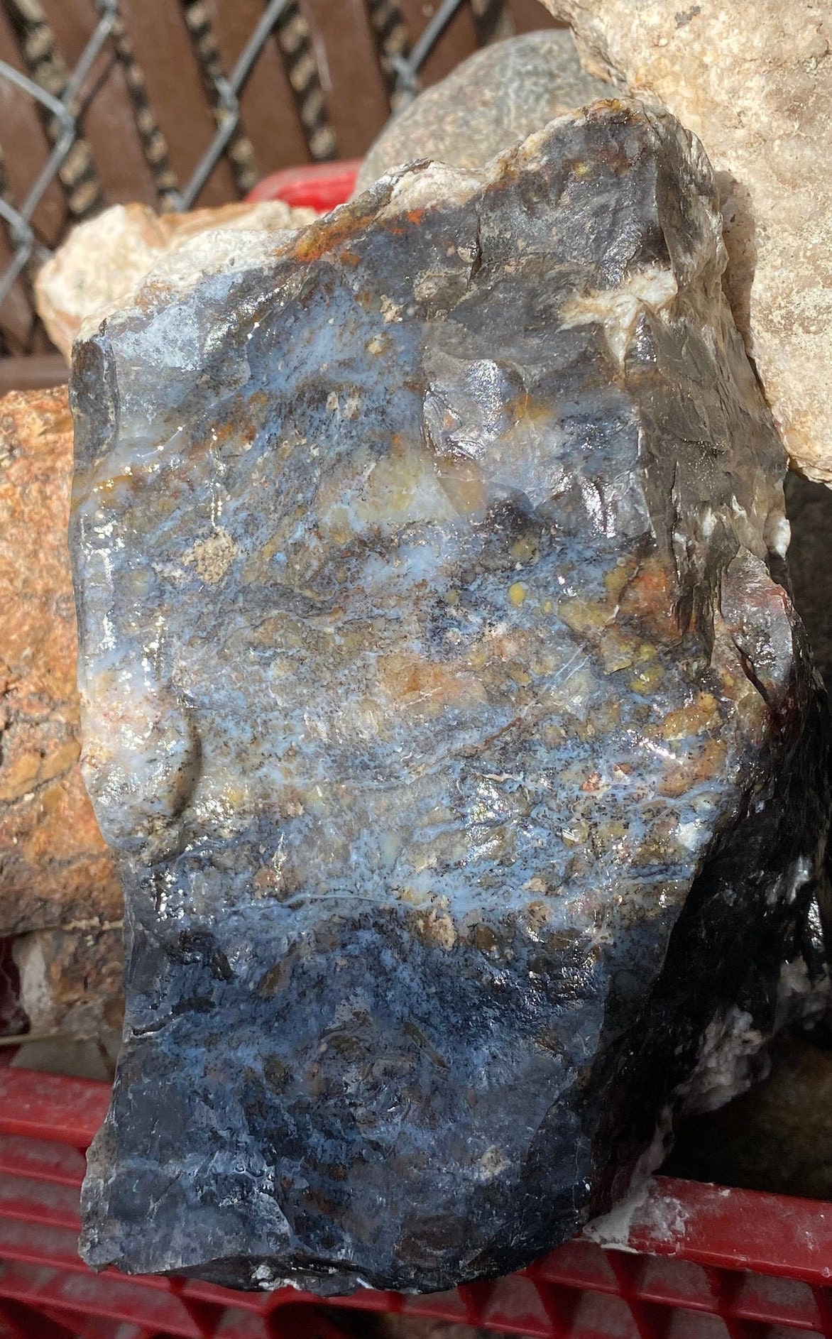 Raw Dendritic Agate Stone/ Large Raw Chalcedony Crystal. Plume Etsy UK