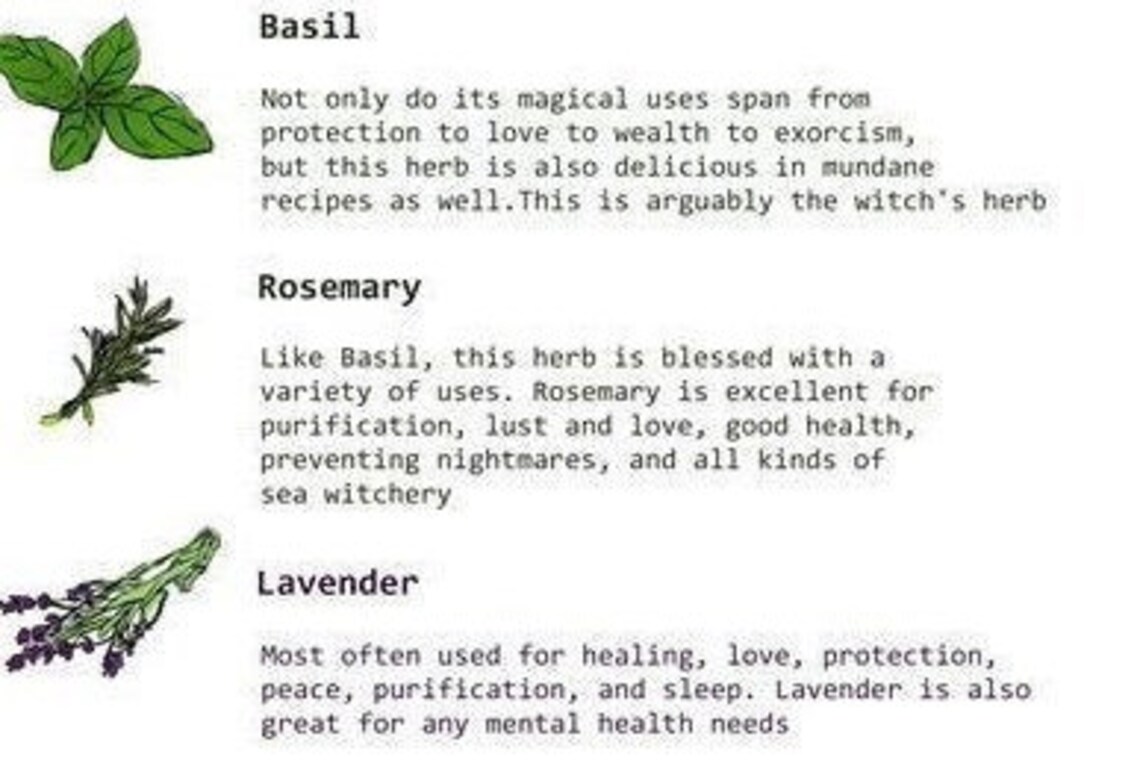 Spiritual Herbs. Dried Herbs and Spices. Magic Spell Herbs. Etsy