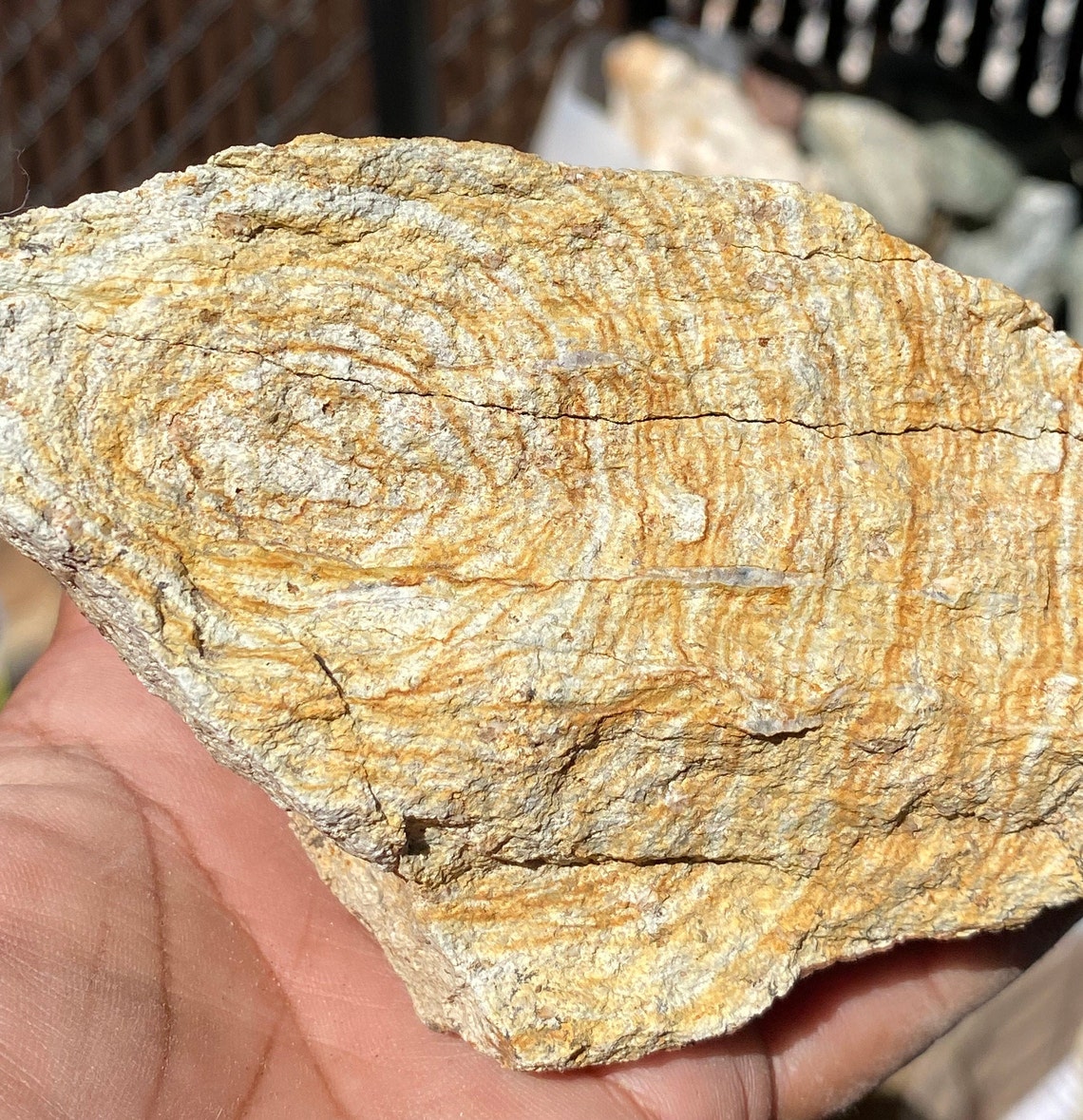 types of jasper raw