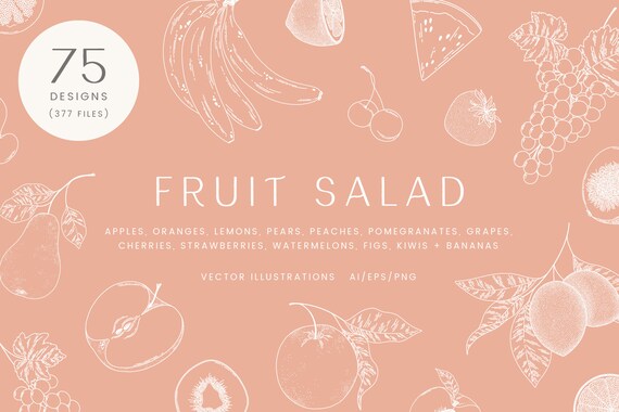 Download Fruit Salad Vector Illustrations Clipart Svg Png Etsy
