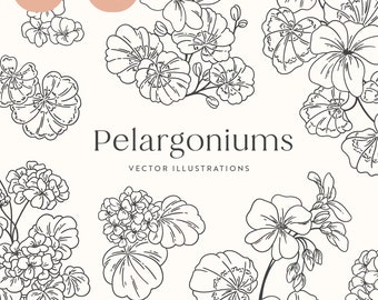 Pelargoniums Floral Vector Illustrations | Clipart | SVG | PNG