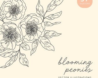 Peony Floral Vector Illustrations | Clipart | SVG | PNG