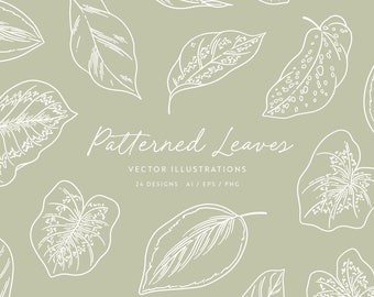 Patterned Leaf Clipart | Leaves Vector Illustrations | SVG | PNG