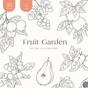 Clipart de Frutas | Ilustrações de Frutas | Ilustrações de Alimentos | Clipart de Alimentos Saudáveis