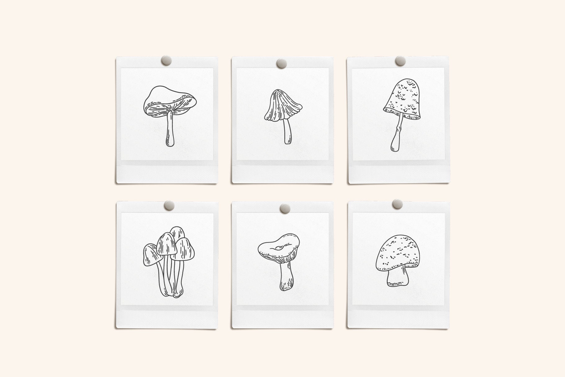 Toadstools Vector Illustrations | Clipart | SVG | PNG - Etsy