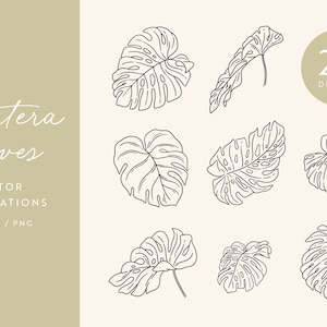 Monstera Leaf Clipart | Tropical Leaves Vector Illustrations | SVG | PNG