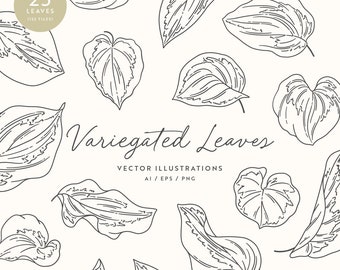 Patterned Leaf Clipart | Leaves Vector Illustrations | SVG | PNG