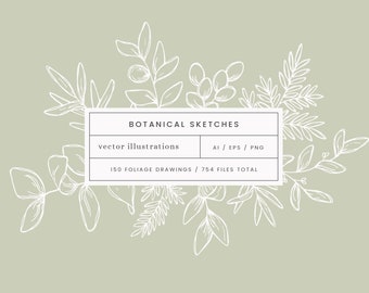May include: A collection of 150 botanical sketches, including leaves, branches, and flowers, in a white outline style against a light green background. The text "BOTANICAL SKETCHES", "vector illustrations", "AI/EPS/PNG", and "150 FOLIAGE DRAWINGS/754 FILES TOTAL" is included in the image.