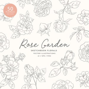 Floral Clipart | Rose Illustrations | Flower Clipart | Floral SVG | Roses PNG