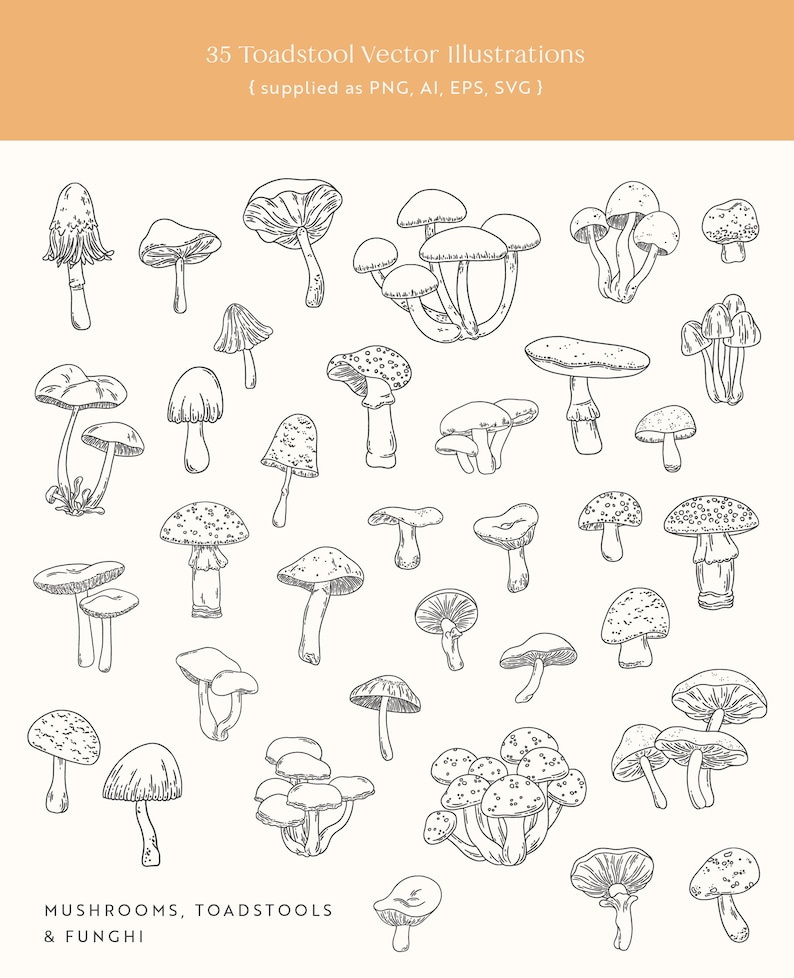 Toadstool Line Toadstools Vector Illustrations | Clipart | SVG | PNG - Etsy