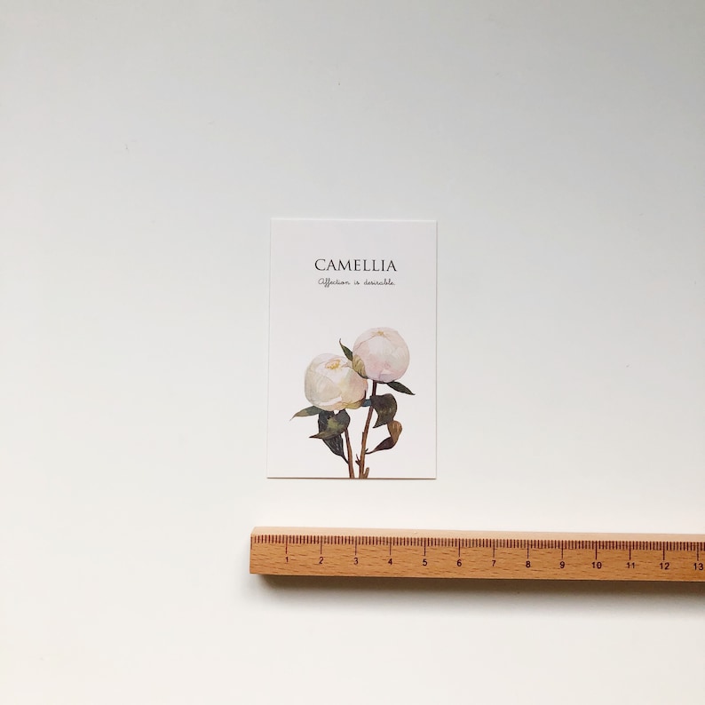 Message Card Mirabel Garden