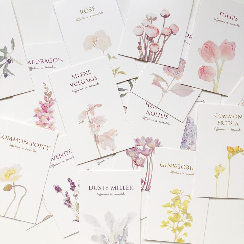 Message Card Mirabel Garden
