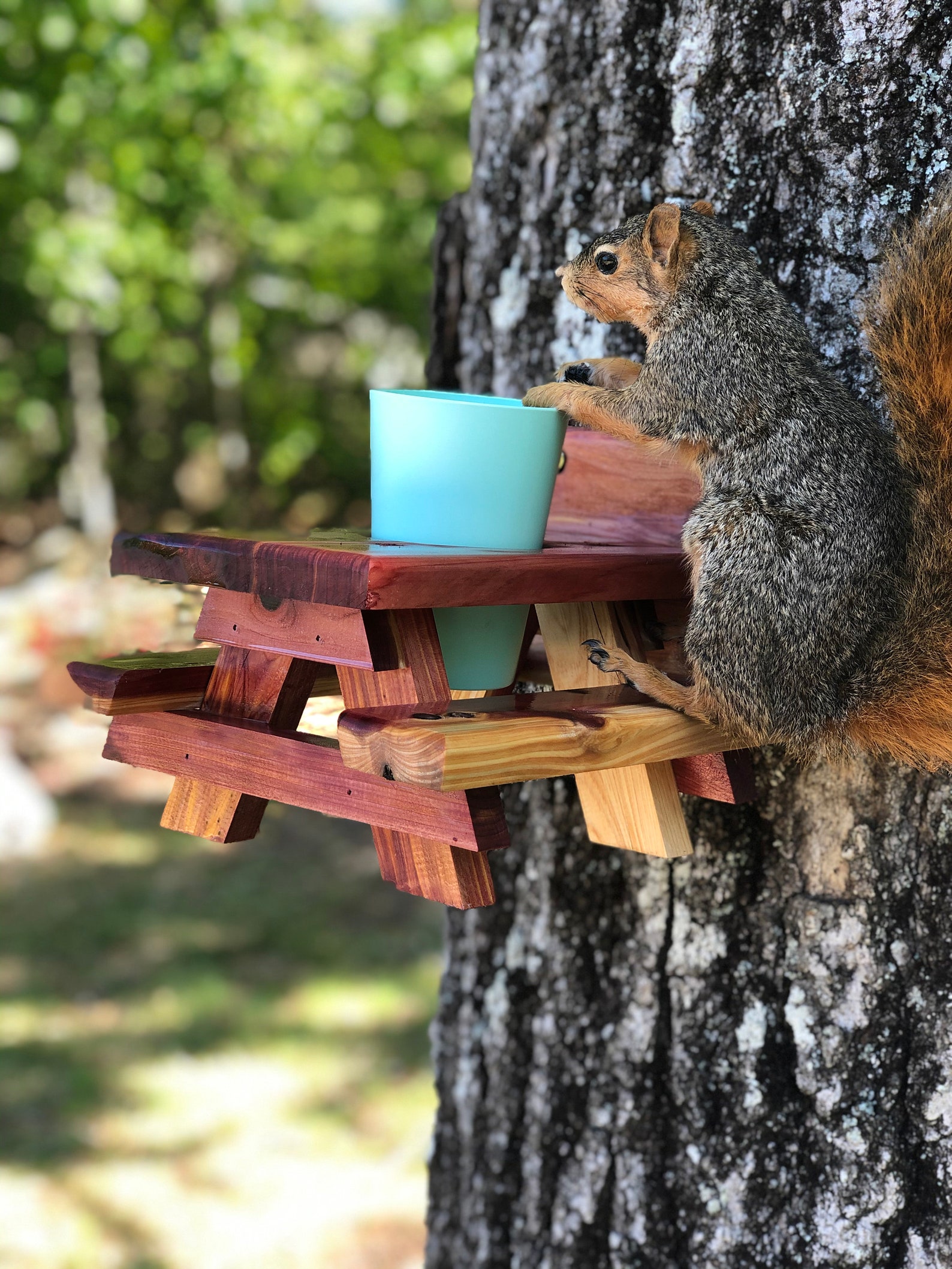 squirrel feeders squirrel feeders