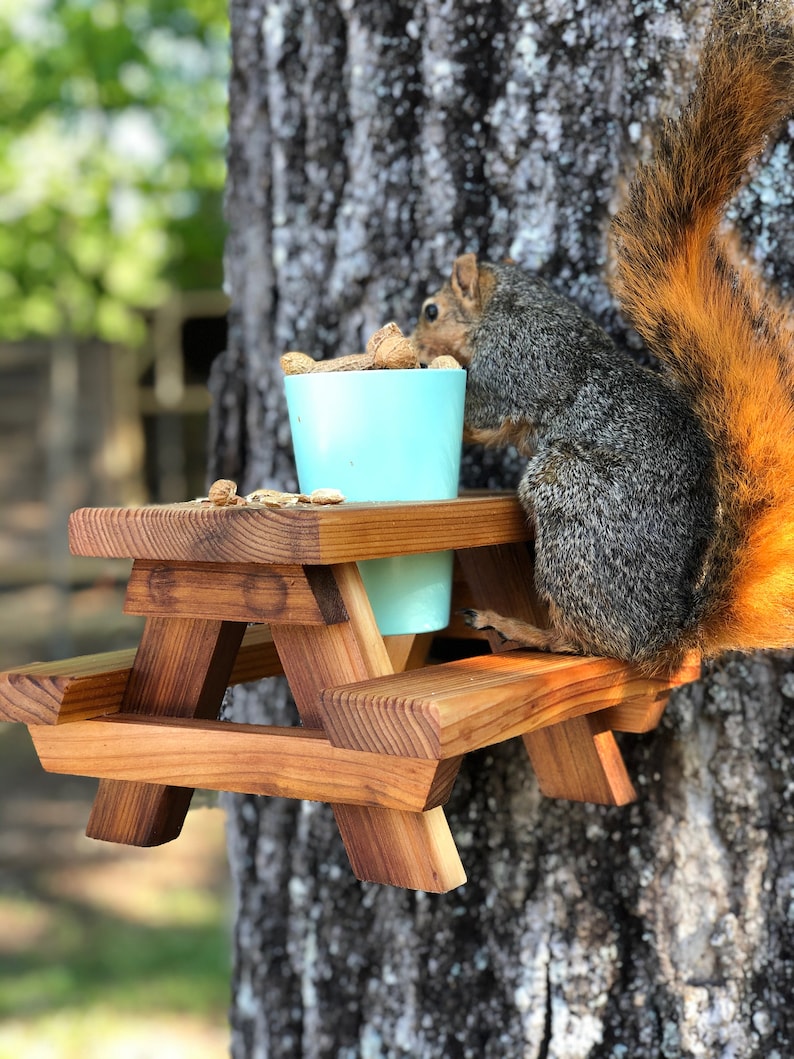 Squirrel picnic table squirrel feeder outdoor feeder Etsy