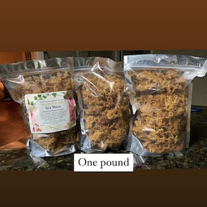 Sea Moss (Irish Sea moss)