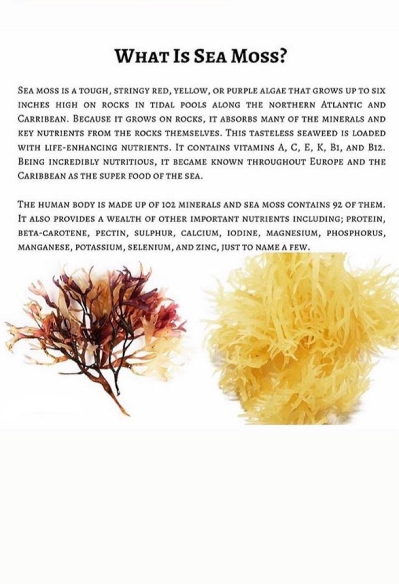 Sea Moss Business Startup Etsy