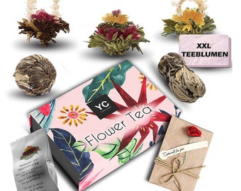 YC Mélange de fleurs de thé Yang Chai "Symbiosis" - coffret cadeau de thé pour femme - 6 thés fleuris XXL thé noir et vert dans une élégante boîte magnétique