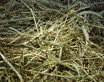 Box of Proper Farm Fresh Organic Timothy Hay - Great for Guinea Pigs, Rabbits & Other Small Pets - Approx 7kg