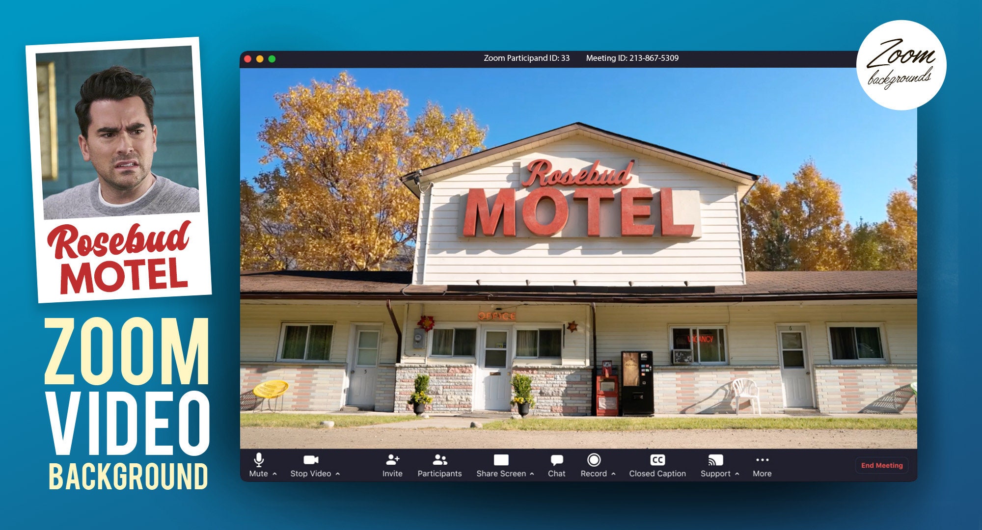 Schitts Creek Zoom animated background Etsy