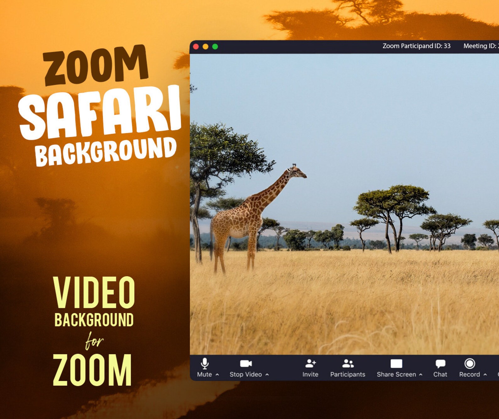 Safari ZOOM video background Etsy