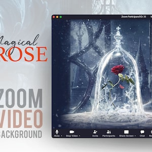 Beauty and the Beast Rose! ANIMATED VIRTUAL BACKGROUND | Instant Digital Download | Video Loop | Zoom Background