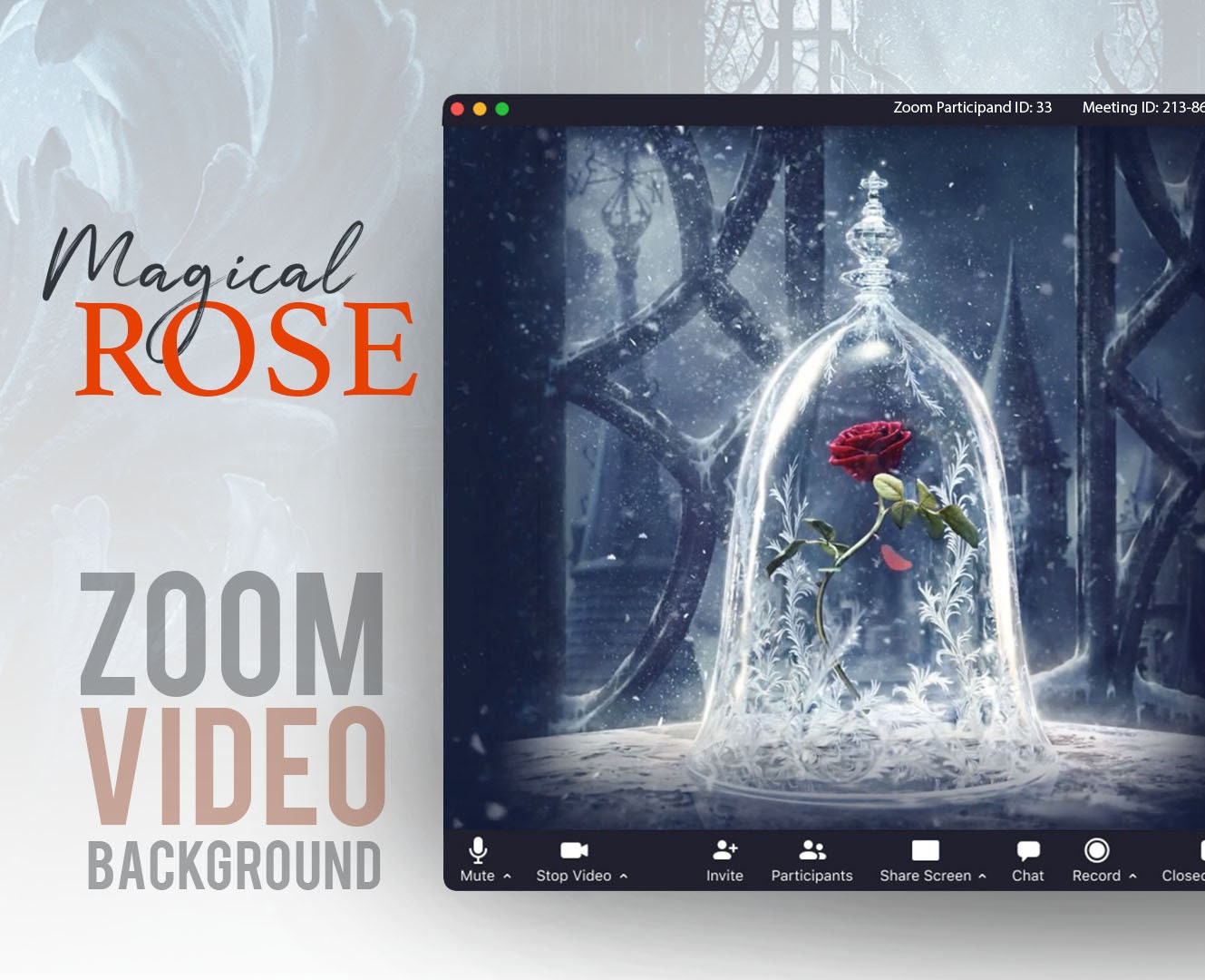 Beauty and the Beast Rose ANIMATED VIRTUAL BACKGROUND - Etsy Canada Beauty and the Beast Rose ANIMATED VIRTUAL BACKGROUND - Etsy Canada