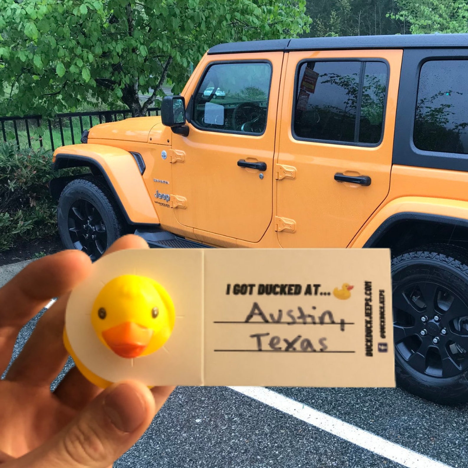 Jeep Ducks with Tags Etsy