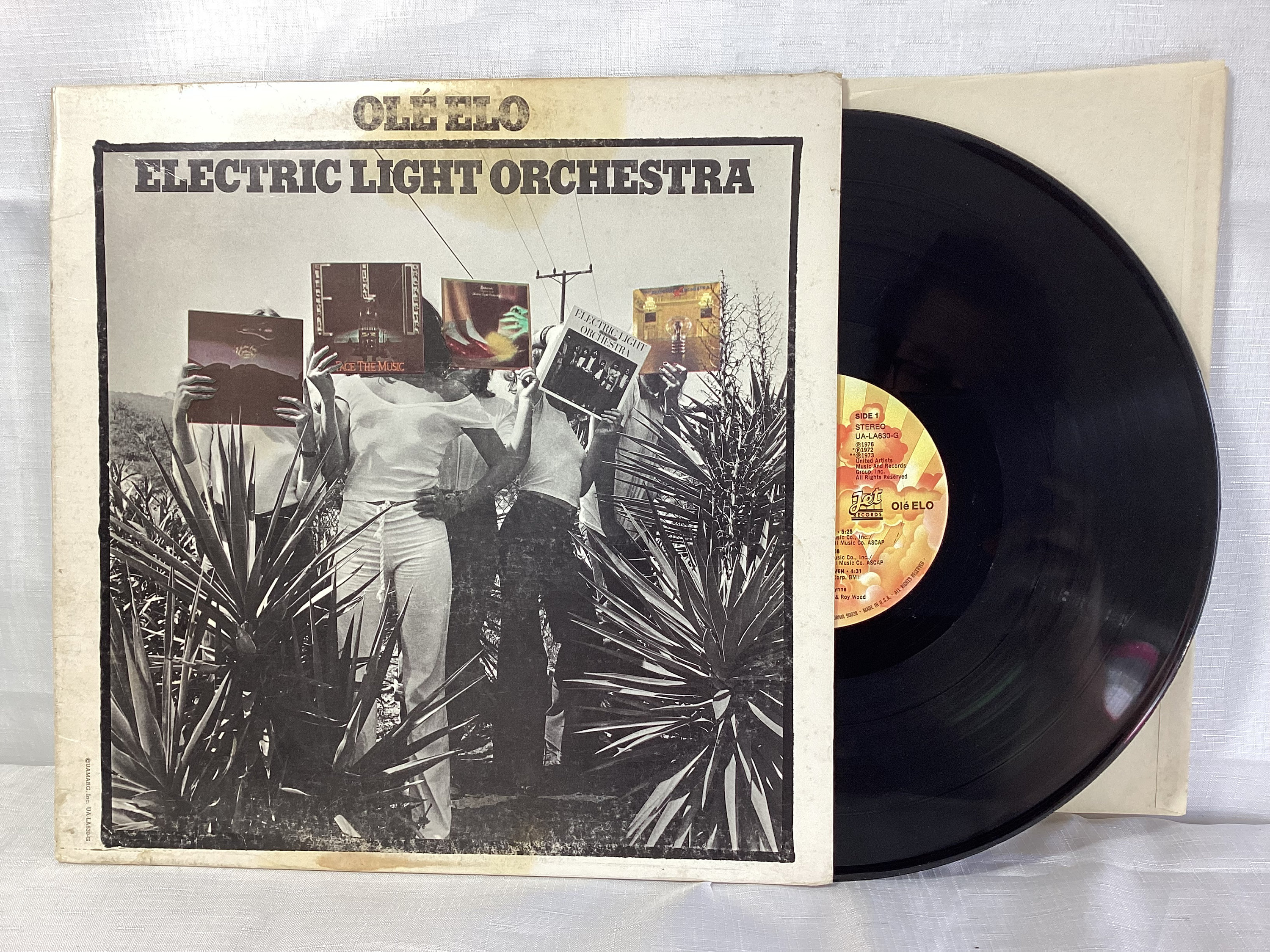 Single: Electric Light Orchestra (ELO) - Sweet Talkin' Woman / Fire On High  (Picture Sleeve)