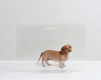 Clear Lucite Acrylic Modern Storage Bin With Latch & Scoop Options 