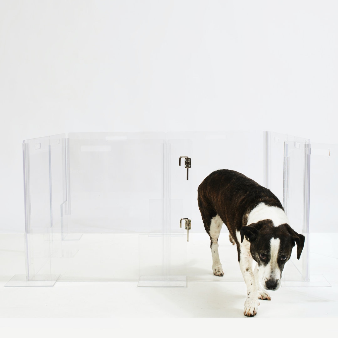 Clear View Lucite Acrylic Modern Pet Dog Playpen Kennel