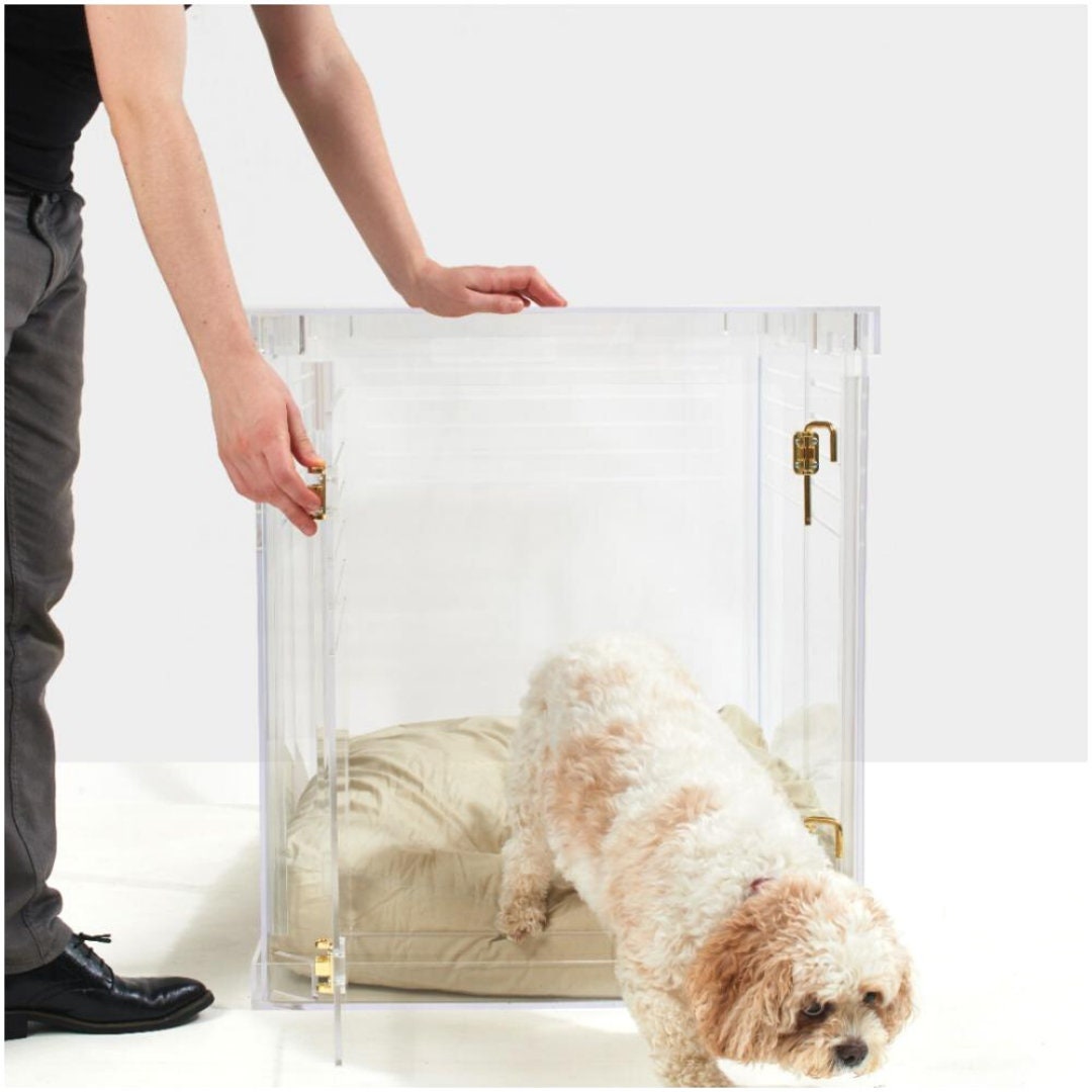 Clear Acrylic Dog Crate & Gate for Small Dogs | Wunderpets / Brass