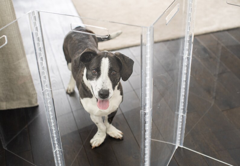 Clear Acrylic Freestanding Zig Zag Pet Gate Etsy