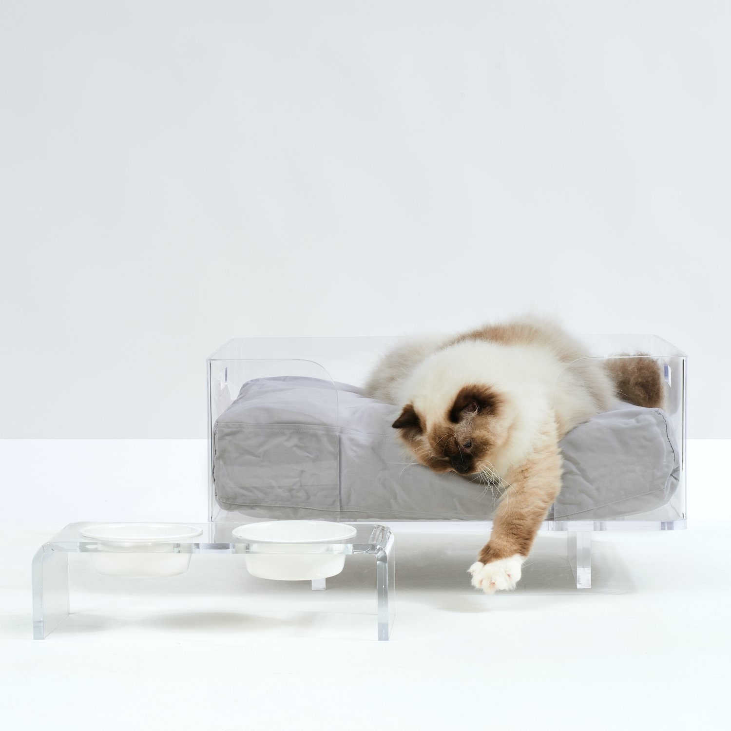 Acrylic dog clearance bed