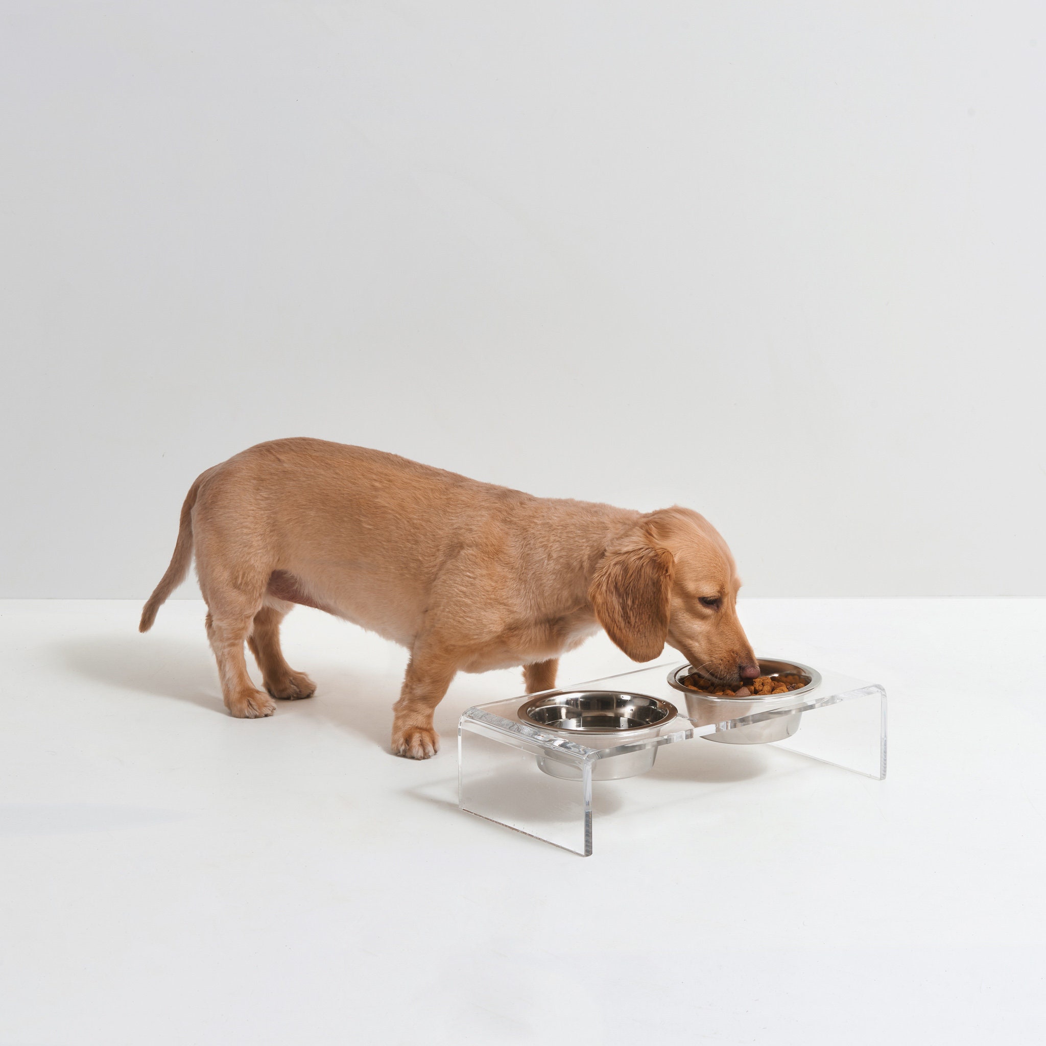 Criss Cross Single Dog Feeder: 5, 7 & 10 H