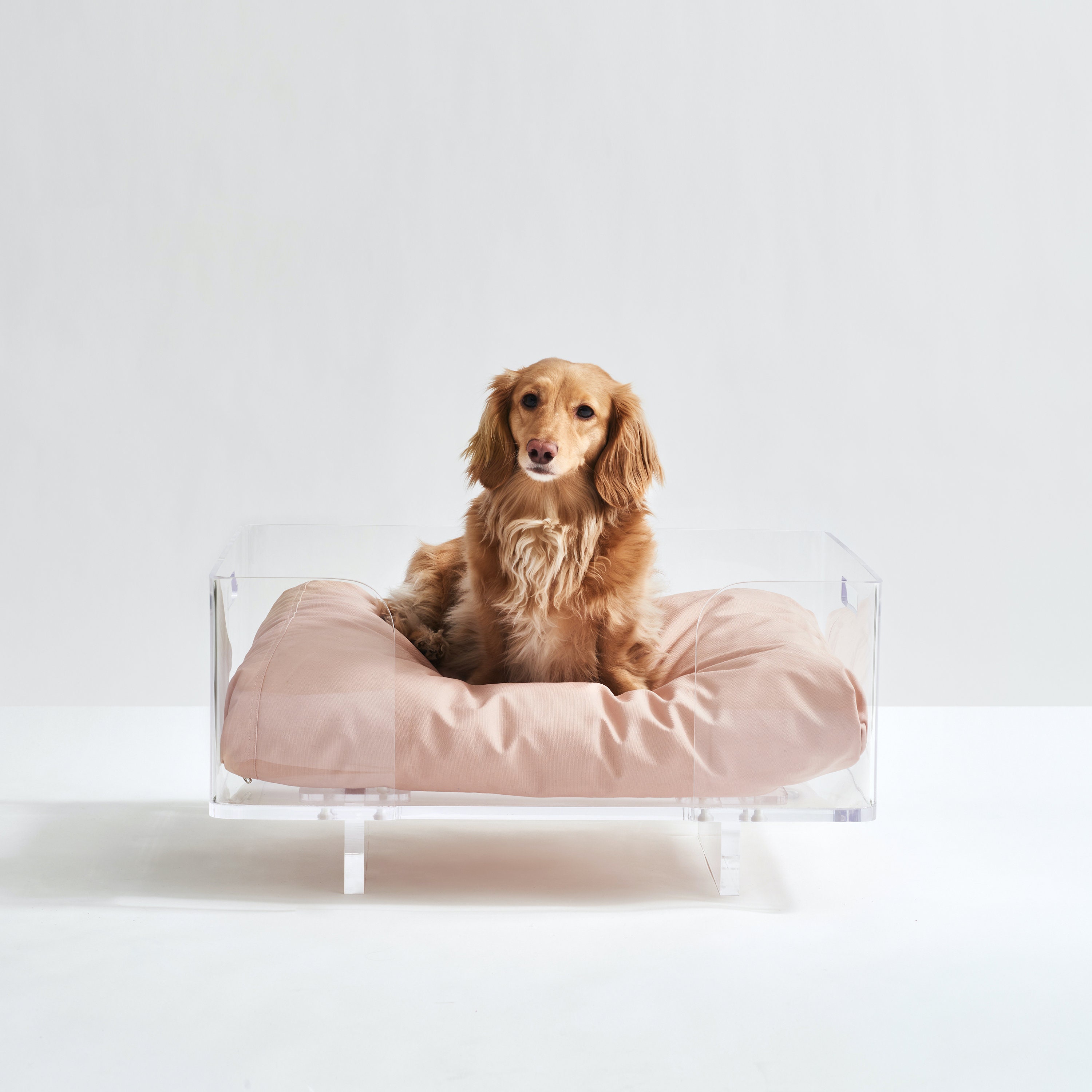 elevated pet bed canada