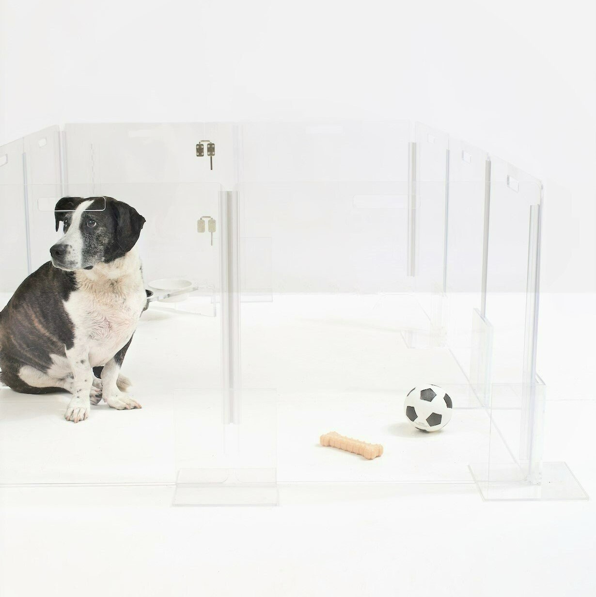 NEW Clear View Lucite Acrylic Modern Pet Dog Playpen Kennel Etsy UK