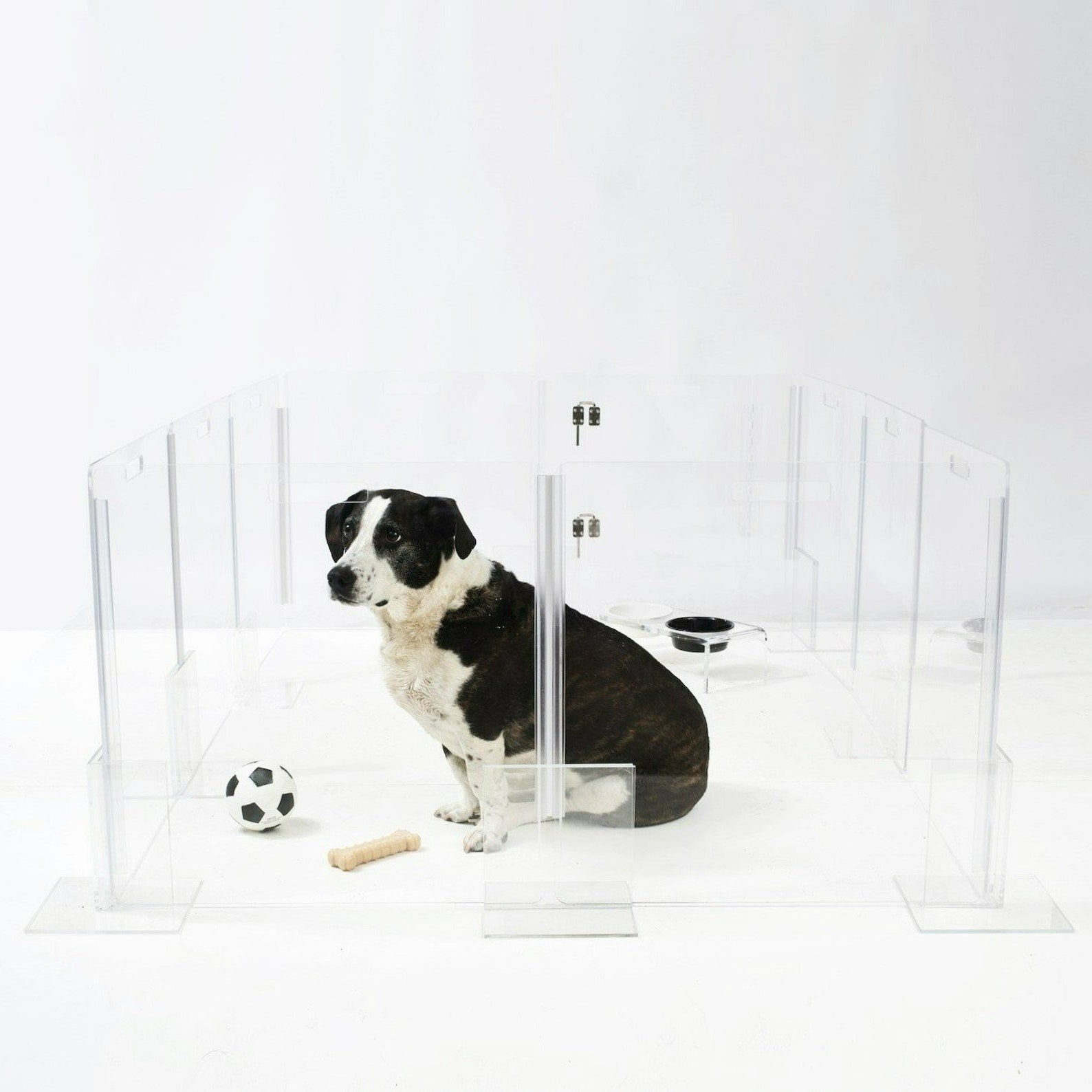 NEW Clear View Lucite Acrylic Modern Pet Dog Playpen Kennel Etsy UK