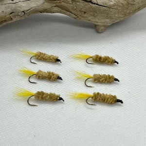 Ahornsirup Eintagsfliege Nymphe
